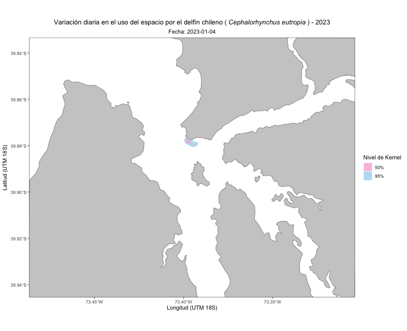 Mapa animado de la variación diaria en el uso del espacio por el delfín chileno en la bahía de Corral en 2023, con áreas de kernel al 50% y 95%.